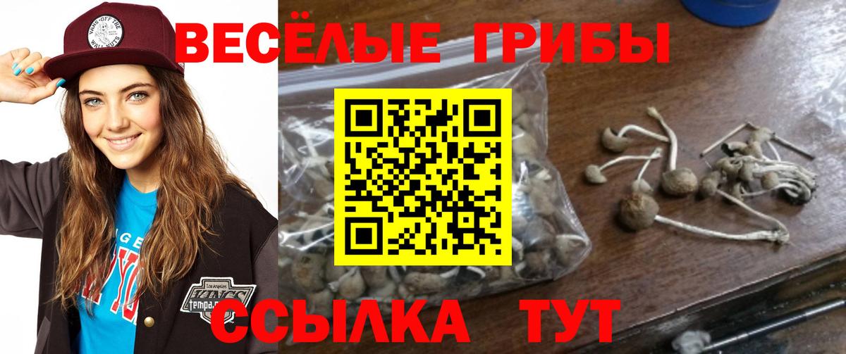 Рославль  цены наркотик  Вход с VPN  Галлюциногенные грибы Psilocybe 